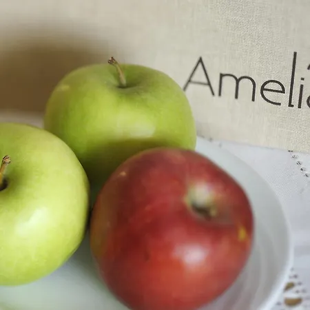 Amelia מלון דירות 3*